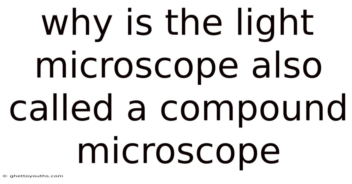 Why Is The Light Microscope Also Called A Compound Microscope