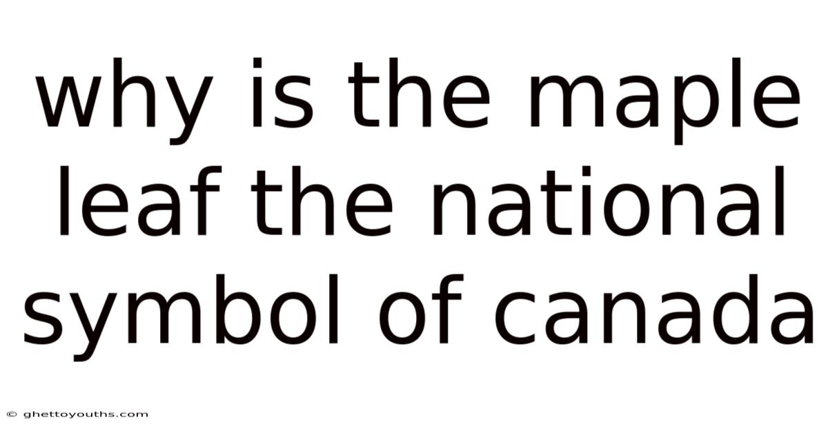 Why Is The Maple Leaf The National Symbol Of Canada