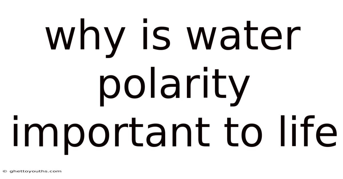 Why Is Water Polarity Important To Life