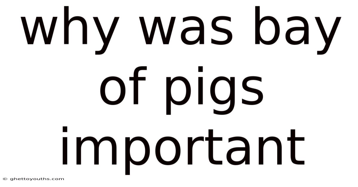 Why Was Bay Of Pigs Important