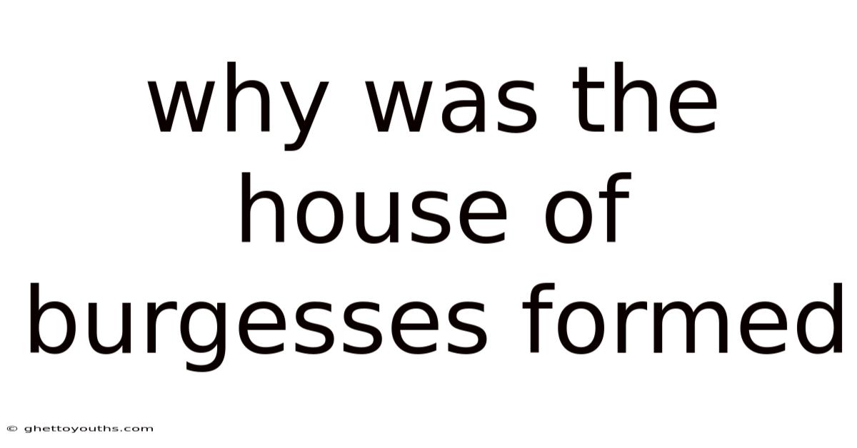 Why Was The House Of Burgesses Formed