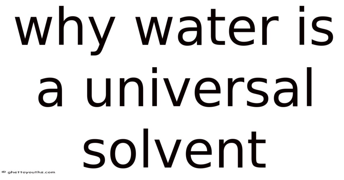 Universal Soolvent Why Water Is A Universal Solvent