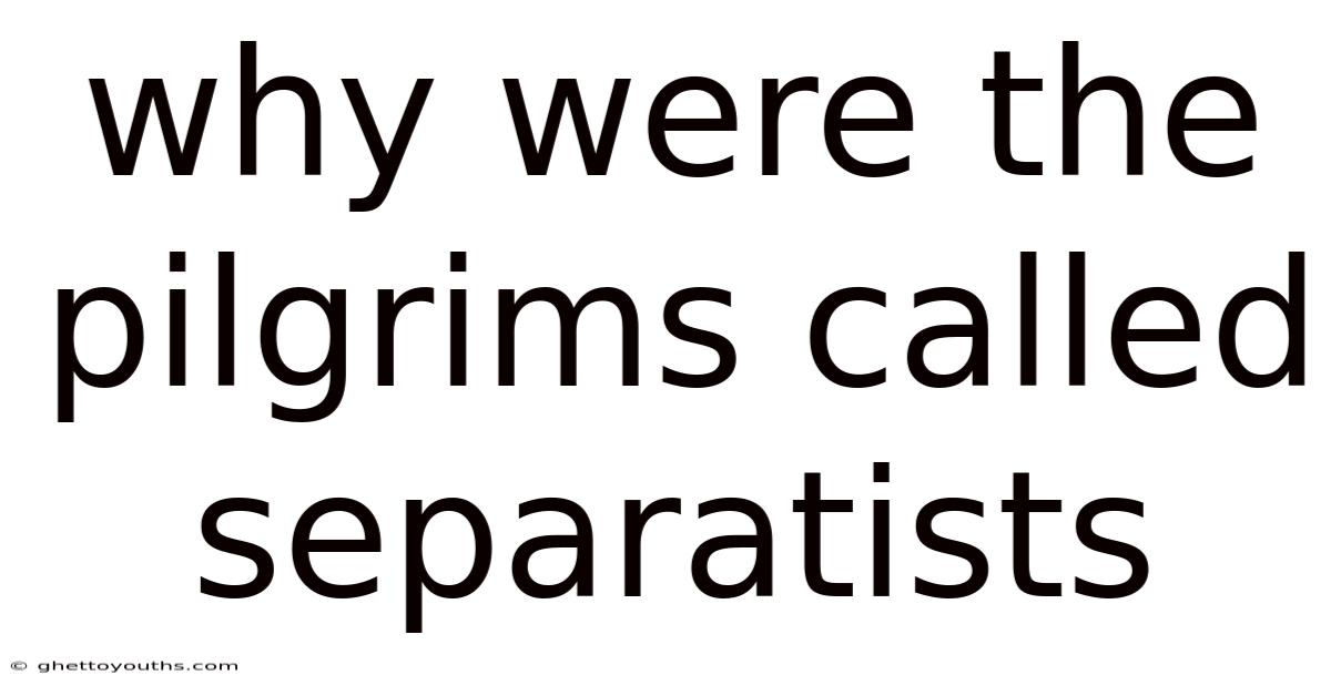 Why Were The Pilgrims Called Separatists