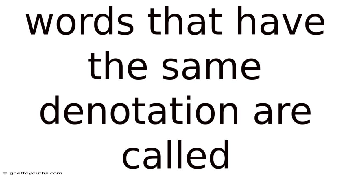 Words That Have The Same Denotation Are Called